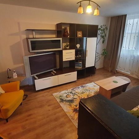 Apartament Cosbuc Baia Mare Exterior foto
